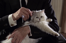 Bond-skurkenes historie